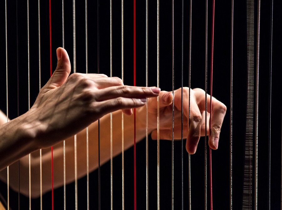 Concert arpa celta accessible