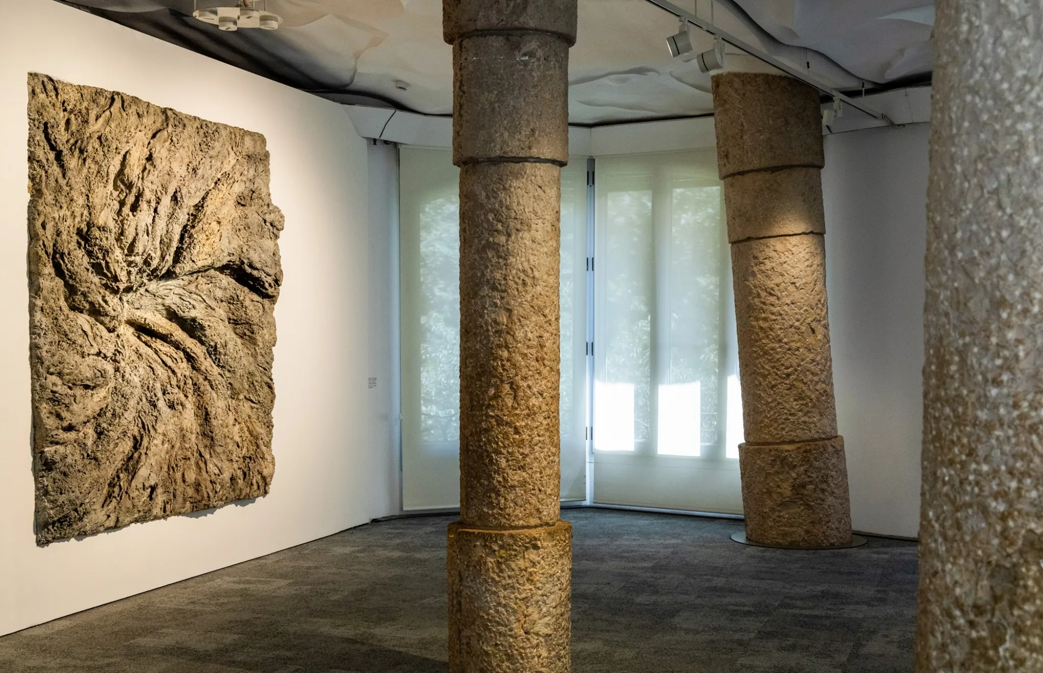 La Pedrera Mostre Intestazione